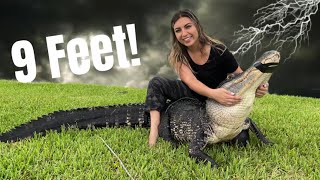 Catching A 9 Foot Alligator In A Thunderstorm!