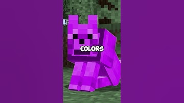 Rainbow Wolves in Vanilla Minecraft!