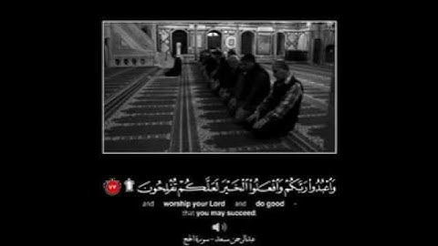 من روائع الشيخ عبدالرحمن مسعد. سورة الحج. صوتة يذهب العقل