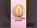 Why Do Vaginal Infections Happen? Key Factors and Solutions | Top Triggers of Vaginal Infections