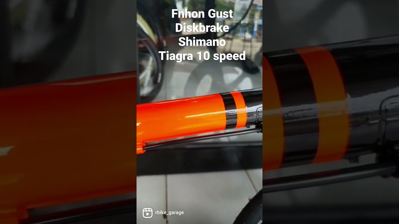 Fnhon Gust Diskbrake 10 speed Shimano Tiagra