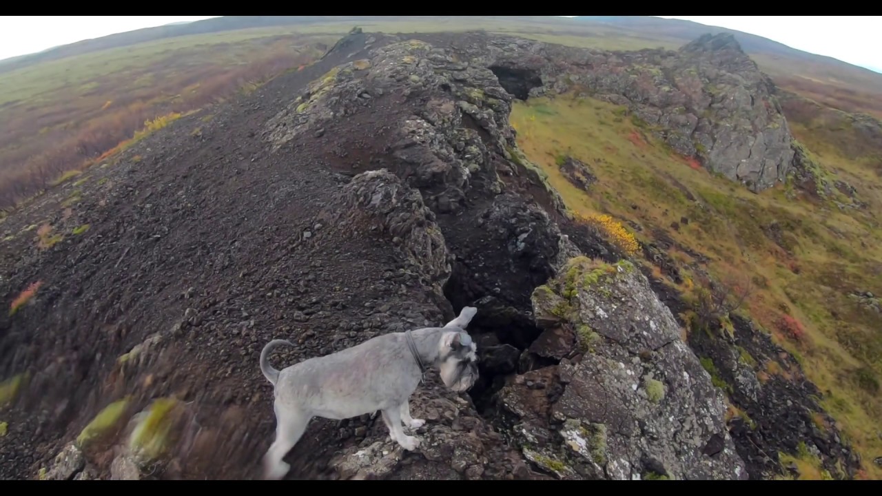 Búrfellsgjá — Búrfellsgjá — video poster