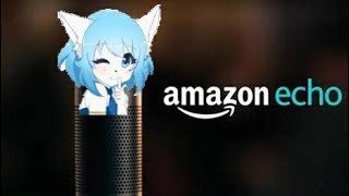 Amazon Echo:  Wolfychu Edition
