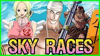 THE SKY RACES: Skypiean, Birkan & Shandian - One Piece Discussion | Tekking101
