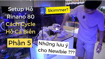 [Part 5]Hướng dẫn Set-up hồ Rinano 80 Basic Nuôi San Hô Cá Biển: Skimmer & Những Lưu Ý Cho Newbie