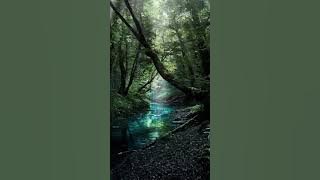 You're the most beautiful-Purity Pure