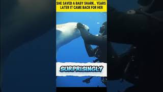 She Saved A Baby Shark Years Later It Came Back For Her emotional shorts viral