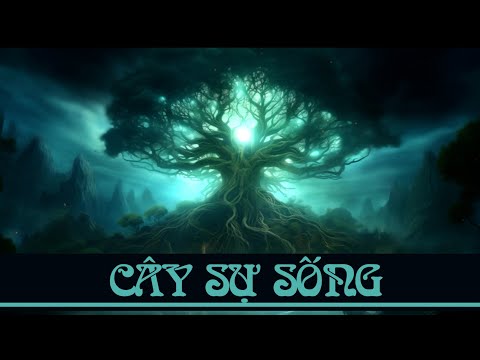 Video: Cây Yggdrasil (Cây Đời sống): mô tả, ý nghĩa