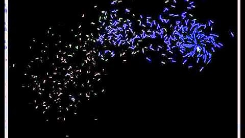 More Particle Effects