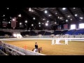 Hunter Hack Ponies Winner - Indiana State Fair 2012