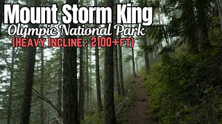 Mount Storm King Hike A Must-Do Trail In Olympic National Park