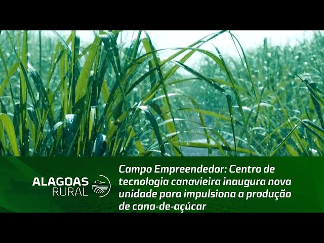 Centro de tecnologia canavieira inaugura nova unidade para impulsiona a produção de cana-de-açúcar