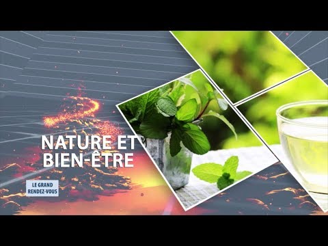 Vidéo: Hémorroïdes Ou Picotements, Traitement Avec Décoctions Et Préparations à Base De Plantes