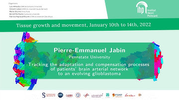 Tracking the adaptation and compensation processes of patient