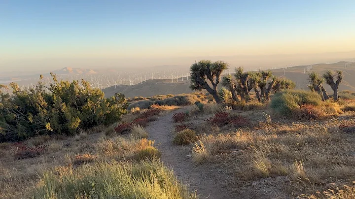 Day 111 — Tehachapi Pass — PCT SOBO 2024
