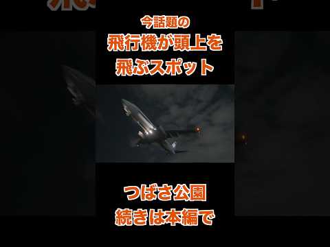 「伊丹空港すぐ隣！飛行機が頭上を飛ぶ新観光スポット『豊中つばさ公園』【2025】