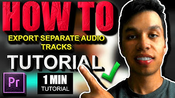 How to Export Separate Audio Tracks Premiere Pro Tutorial (2025)