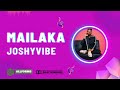 Afrobeat pop Instrumental 2023 Burnaboy ft Miriam Makebe & Rema "Malaika" Afrobeat Type Beat