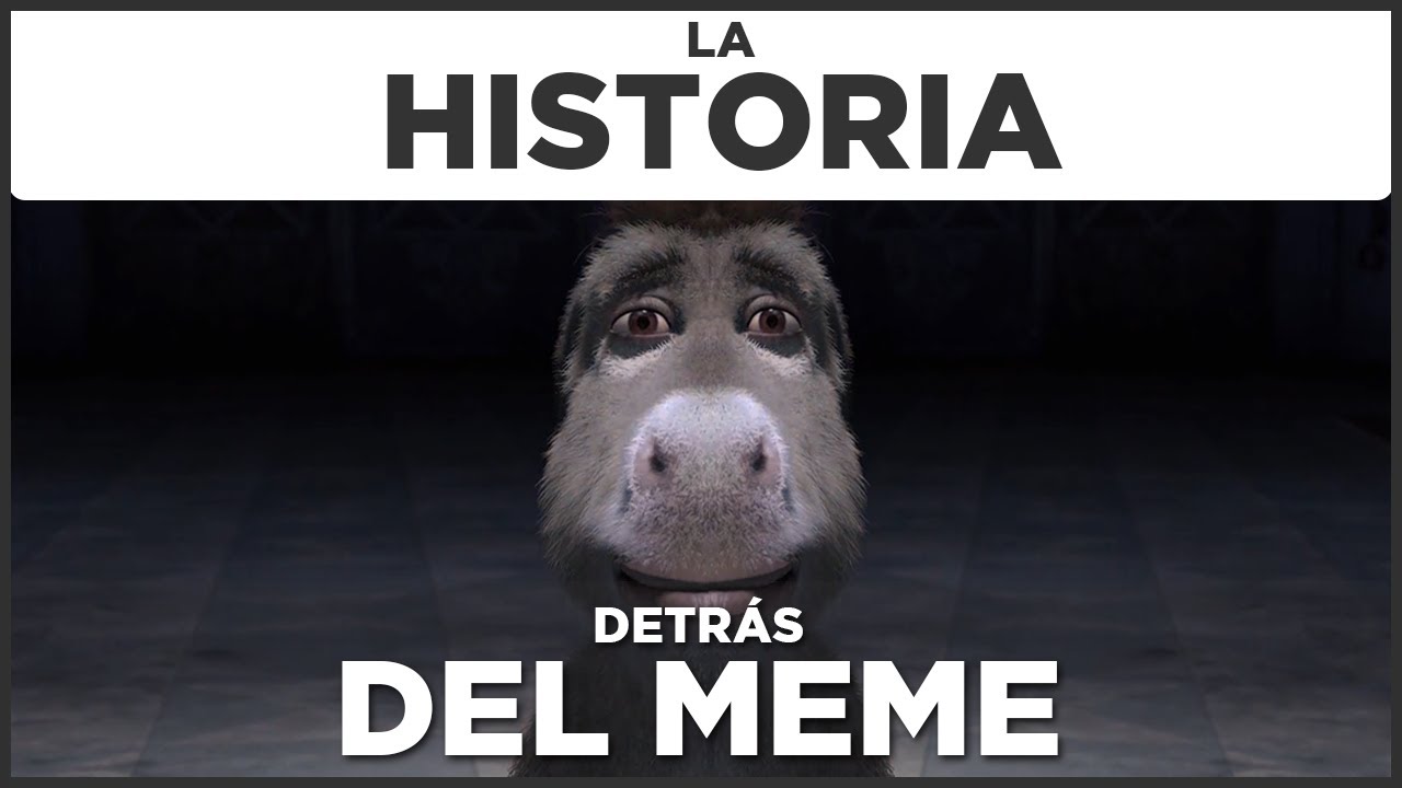 viendo shrek burro meme gato - El Deforma - Un no-ticiero de verdad