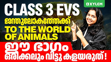Class 3 EVS | To The World Of Animals - ഈ ഭാഗം ഒരിക്കലും വിട്ടു കളയരുത് ! | Xylem Class 3