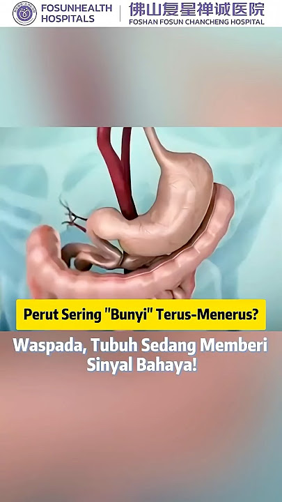 Perut Sering 'Bunyi' Terus-Menerus? Waspada, Tubuh Sedang Memberi Sinyal Bahaya! #sehat #health #fyp