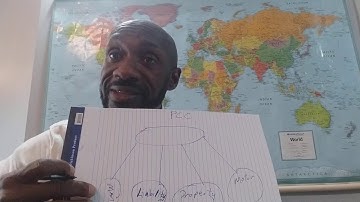 Protective Cell Companies (PPCs). An effective and alternative way of protecting your company assets