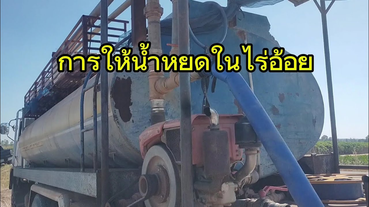 การให้น้ำหยดในไร่อ้อย