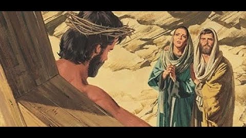 SUY NIỆM - “NHỮNG BÀ MẸ” MANG LẠI SỰ SỐNG − Lm. Giuse Nguyễn Trọng Sơn