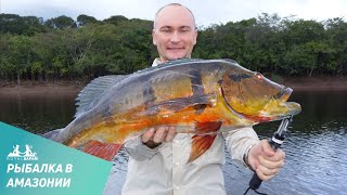 видео Рыбалка в Бразилии. Притоки реки Амазонка: Павлиний окунь