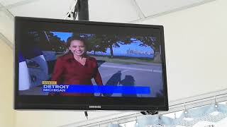 GINGER ZEE - 7-24-19