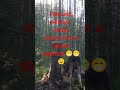 Лось нарк..ан!!!