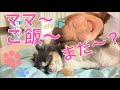 大場久美子【こども達とまったりこんな朝】体調悪い老犬笑美ペースの生活になってきました。