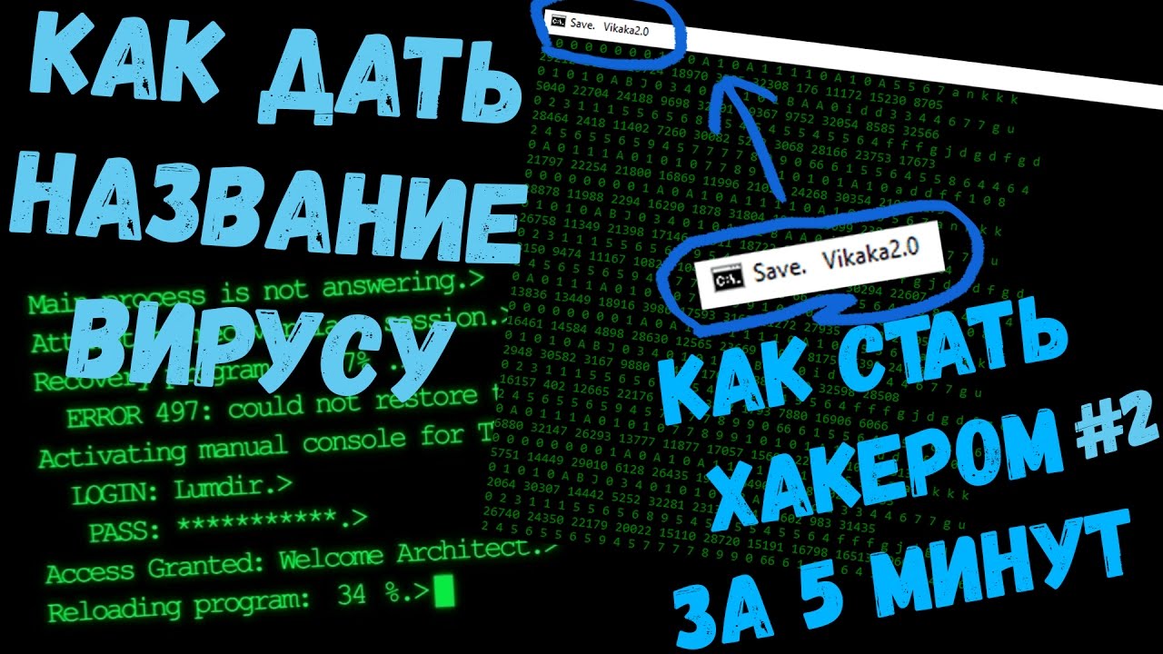 Как стать хакером на телефоне. Как стать хакером.