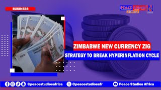 Zimbabwe New Currency Zig Strategy To Break Hyperinflation Cycle