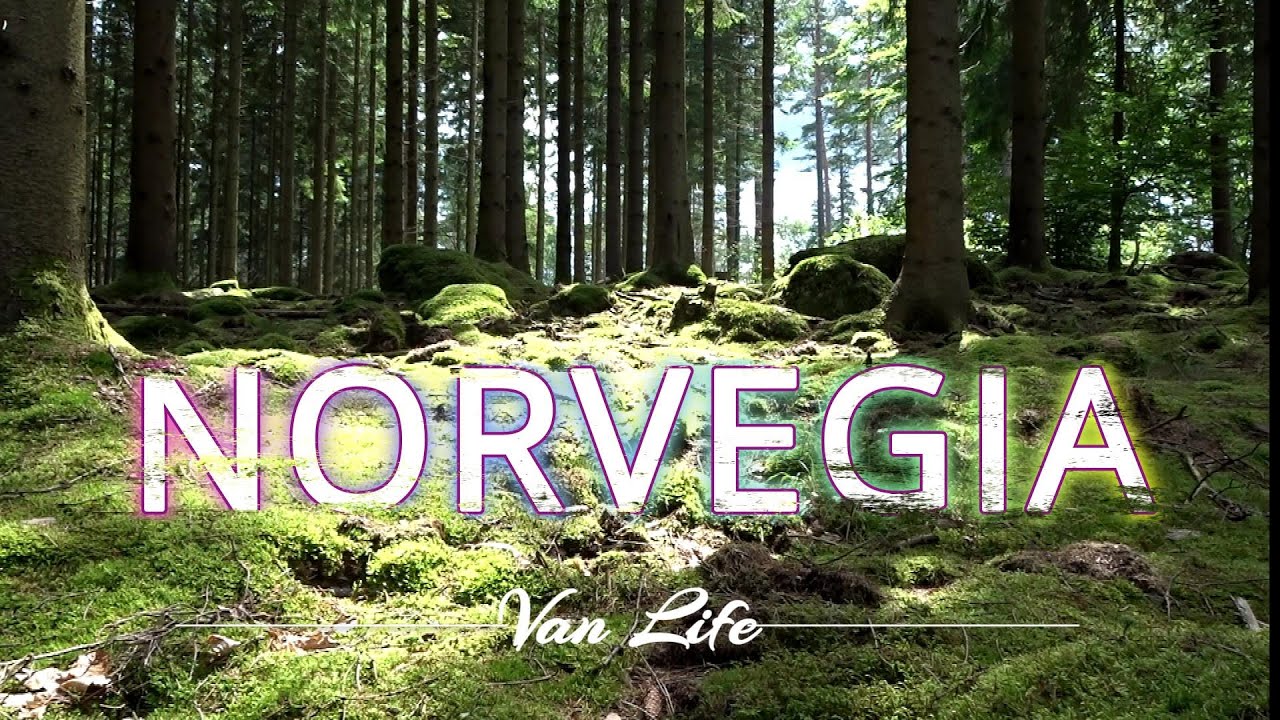Norvegia vanlife