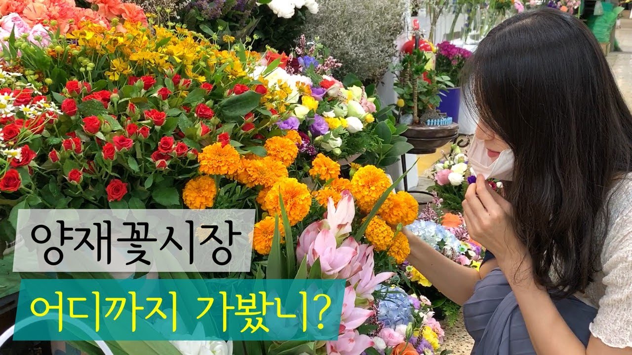 양재동 꽃 시장 일요일 | 1만원 대로 셀프 꽃꽂이하기🌷 (양재꽃시장 영업시간, 일요일, 꽃 사는 팁) / 생화 사와서 꽃꽂이하는 일상 브이로그 20434 명이 이 답변을 좋아했습니다