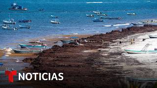 Planeta Tierra: Temporada histórica de sargazo afecta al Caribe mexicano | Noticias Telemundo
