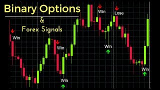 Trade Binary Options Signals and Forex Signals like BeBe by Benne