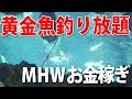 【MHW金策】1匹5000で売れる！モンハンワールド序盤のお金稼ぎ【黄金魚釣り】