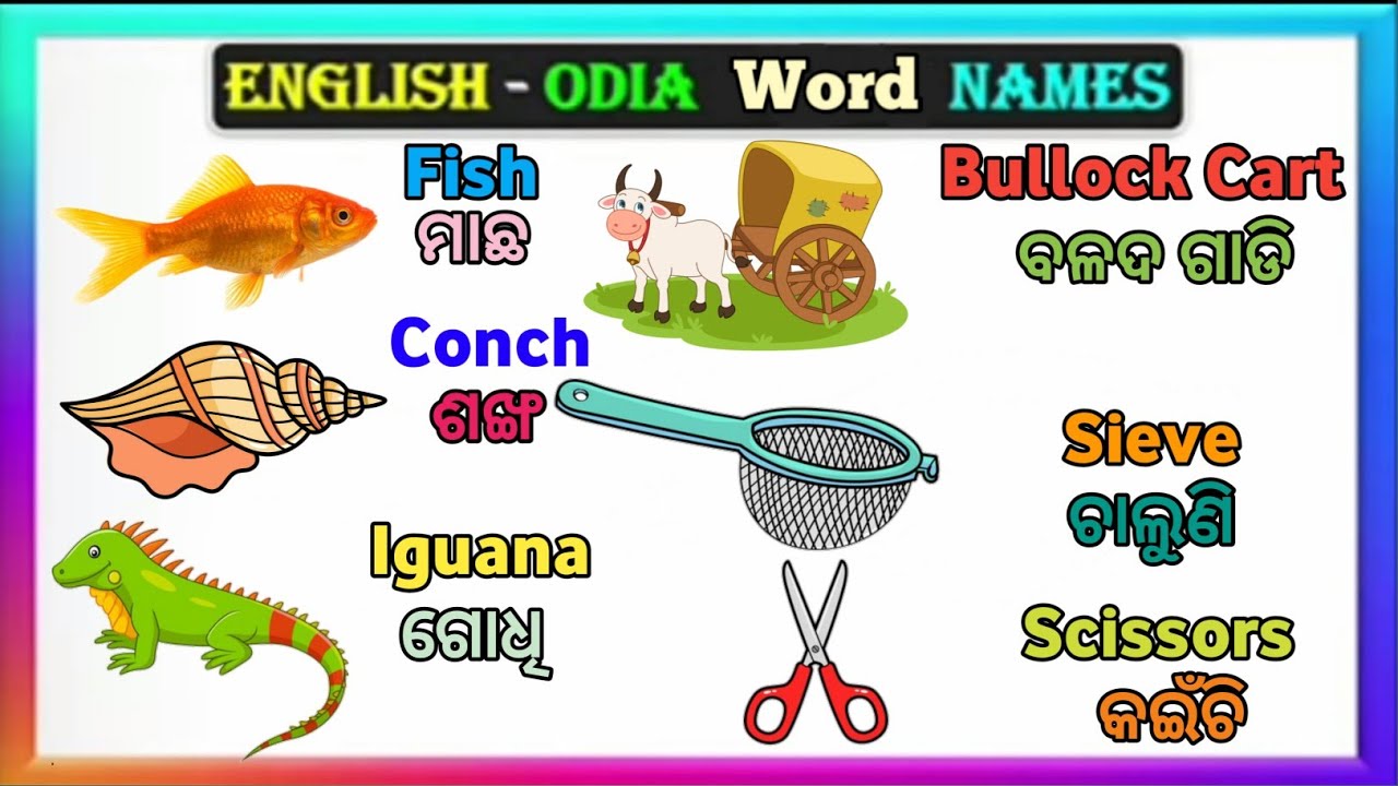 Word Meaning in English to Odia ll English Sikhsa ll English To Odia Dictionary ll Part 33
