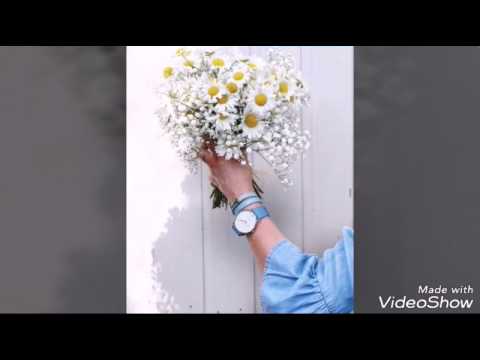 راشد الماجد يا نور عيني 3ainiii Youtube