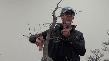 Glenn Jensen and John Jackson prune deciduous trees