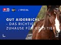 Gut Aiderbichl – das richtige Zuhause für jedes Tier. TTD-Spezial vom 30.03.2021