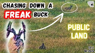 Chasing Down a FREAK BUCK - Stalking Bedded Bucks in NE (SHOT FIRED)