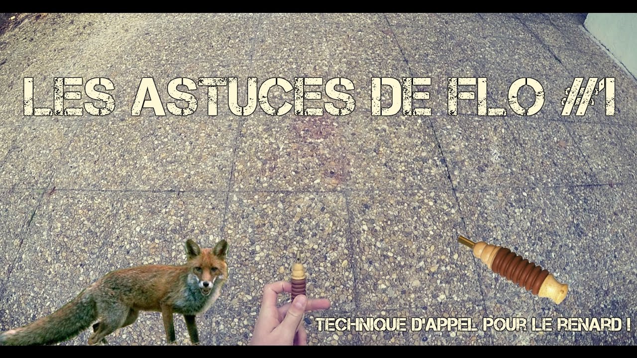 Les Astuces de Flo #1 - Chasse : Technique d'appel du renard à l’affût