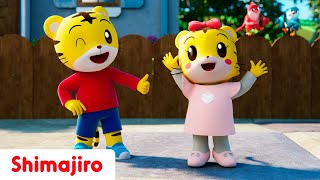 💃🕺Shimajiro’s Dance Party!🎶✨Celebrate International Dance Day with Shimajiro!🐯🌟Songs for Toddlers🎉