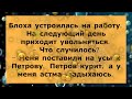 Смешные Анекдоты До Слёз ! 😉 Блоха устроилась на работу ...