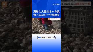 北海道・厚真町の海岸に大量のホッキ貝　食べるには十分な加熱必要 | TBS NEWS DIG #shorts