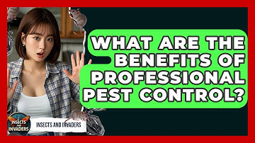 What Are The Benefits Of Professional Pest Control? - Insects and Invaders