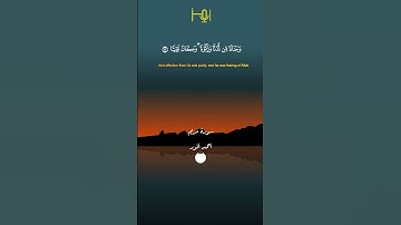 القارئ / أحمد أنور عرفات #قرآن #تلاوات #استوديو_رمز_الأخيار